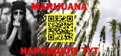 прущие грибы Пугачёв