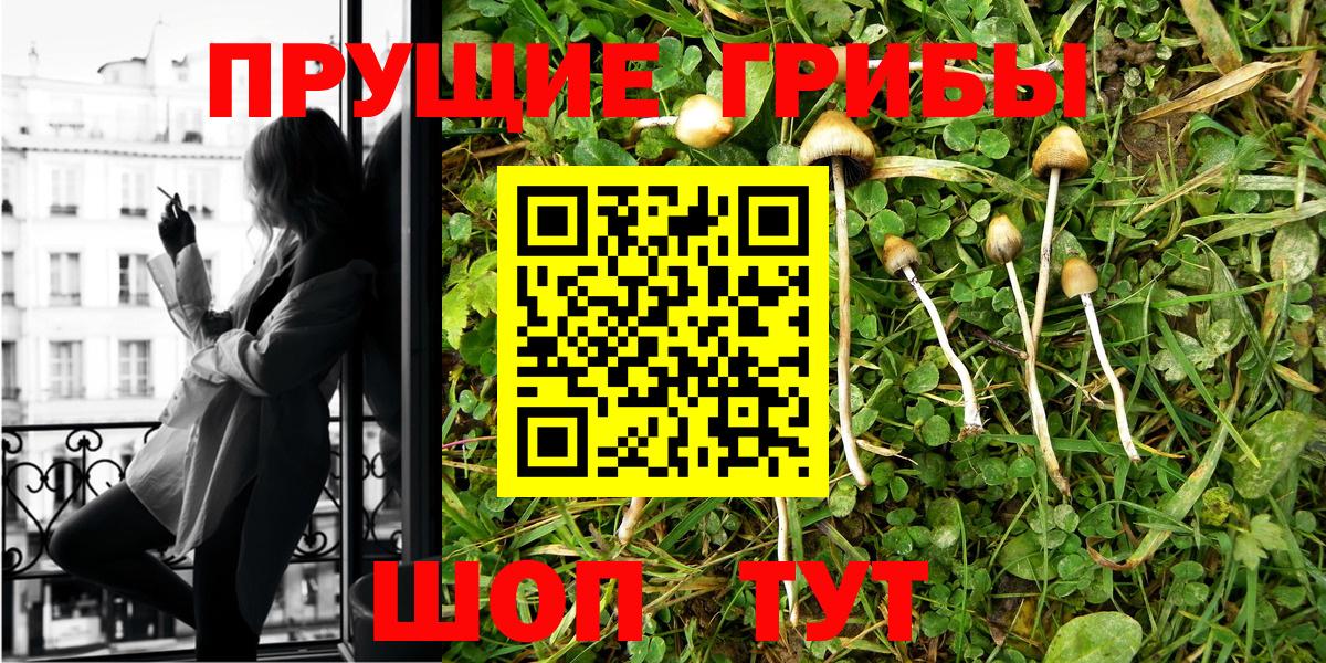 Пенза  Галлюциногенные грибы Psilocybine cubensis  Вход с VPN 